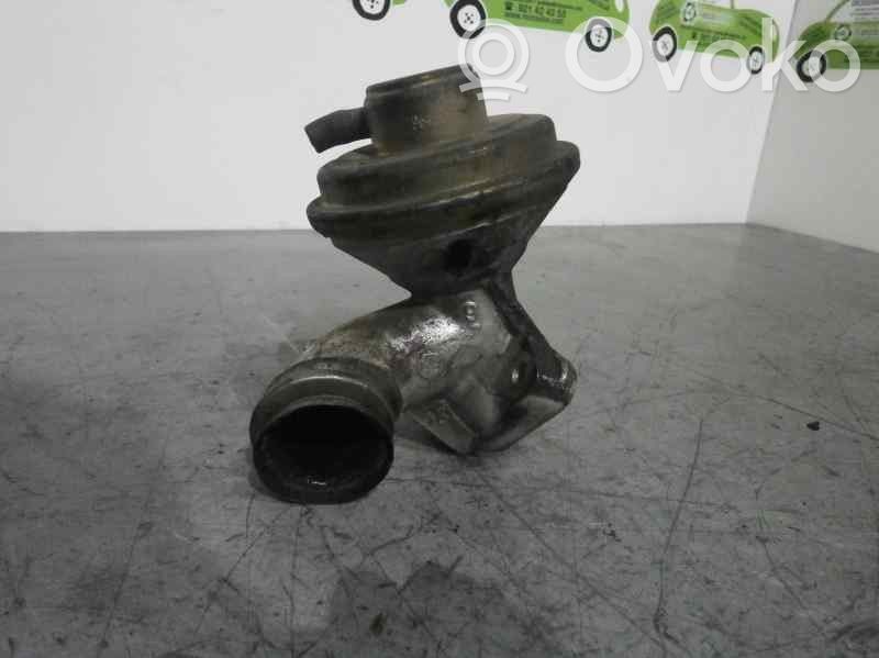 Peugeot 206 EGR valve 