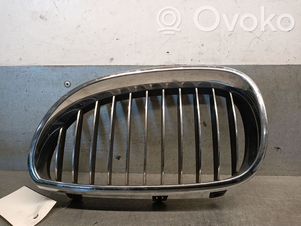 Kühlergrill   51137065701,51137065701