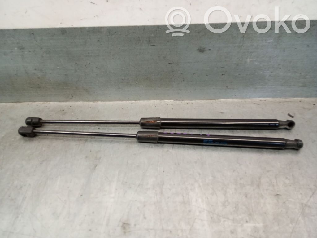 Skoda Fabia Mk2 (5J) Amortizor hayon