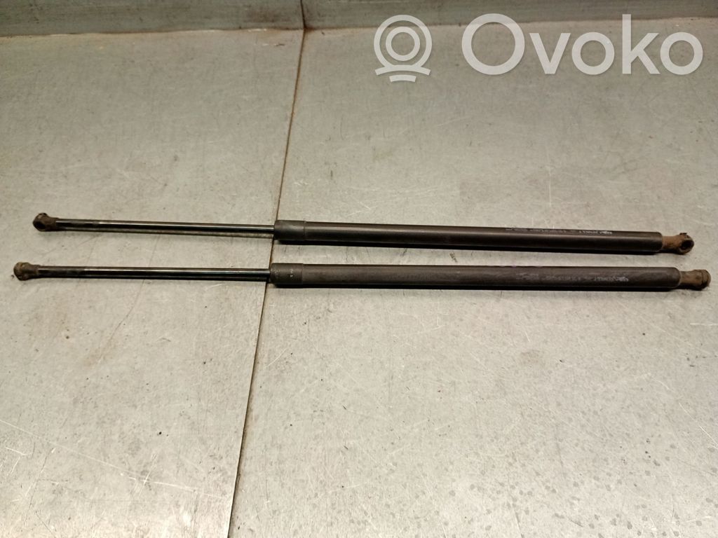 Renault Grand Modus Ammortizzatore portellone posteriore/bagagliaio