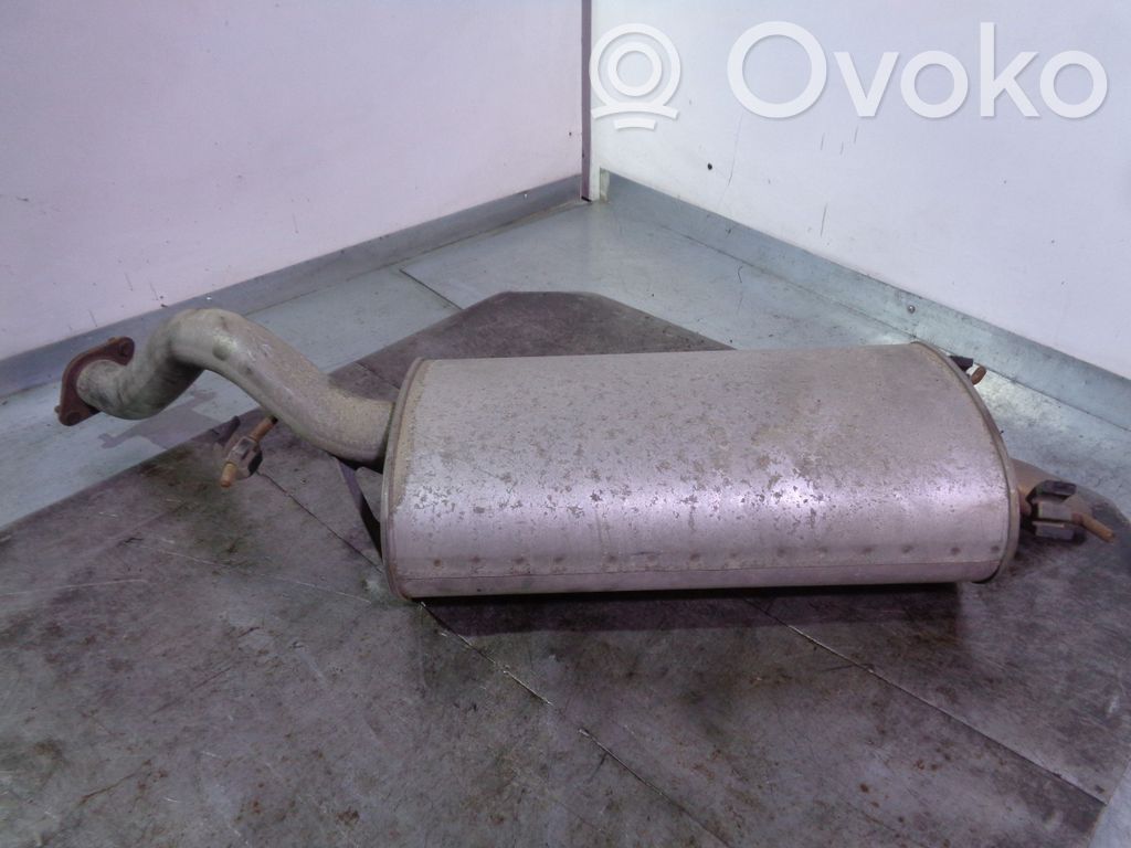 Duslintuvas   4875150,CESTA17
