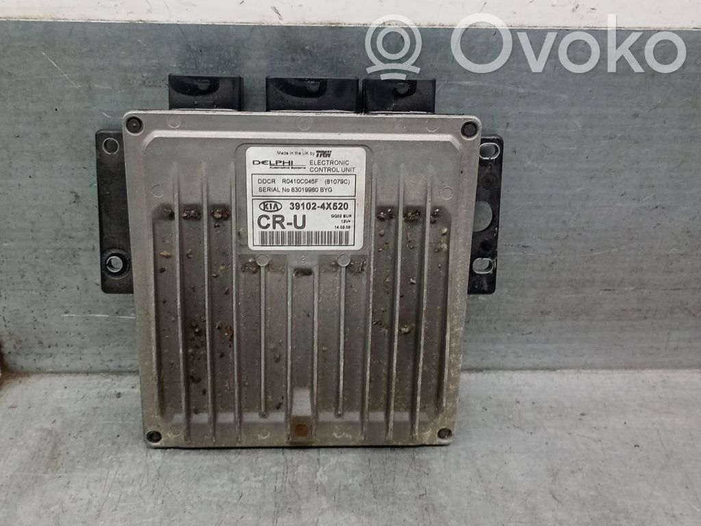 Engine control unit/module   391024X520