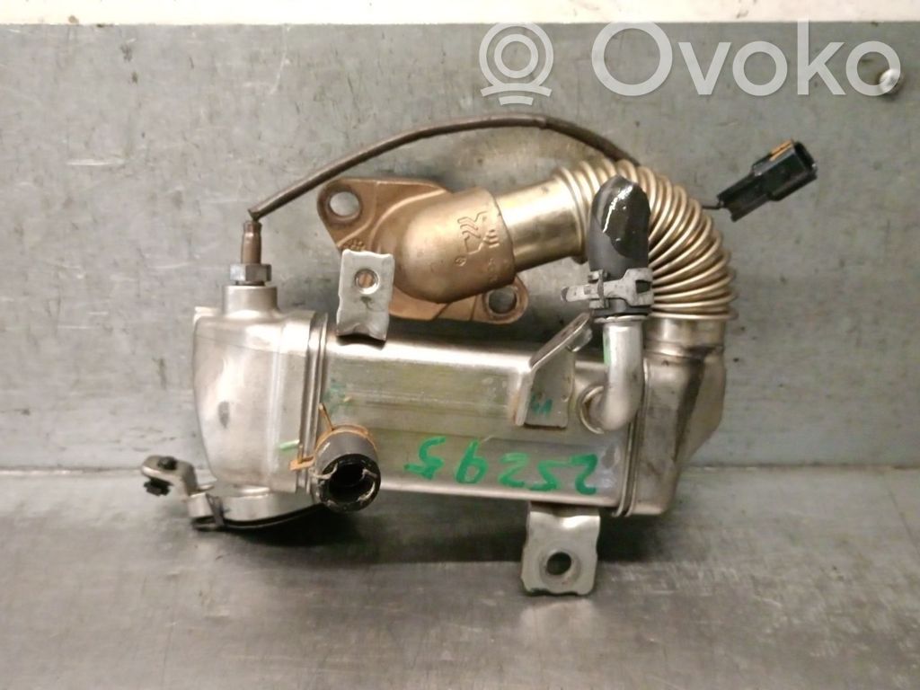 Nissan Qashqai Valvola di raffreddamento EGR