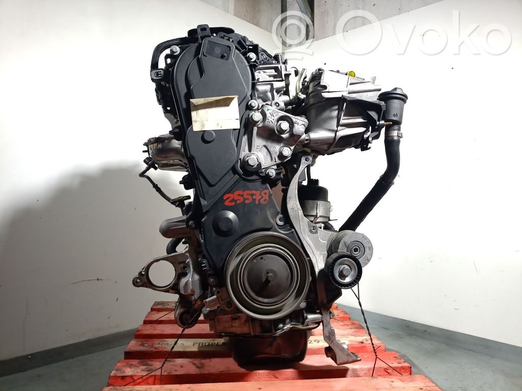 Двигатель   RH02,0135QP,10DYZE