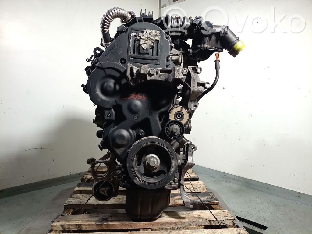 Citroen Berlingo Motor 