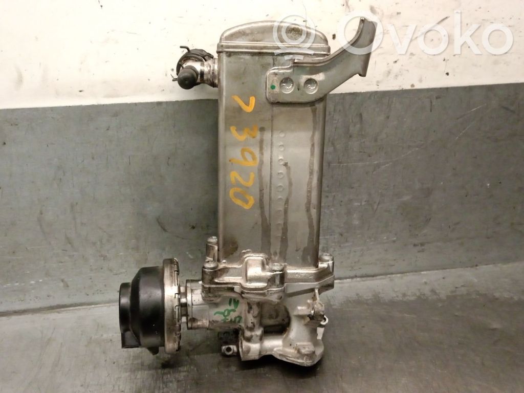 Audi A6 C7 Refrigerador de la válvula EGR 