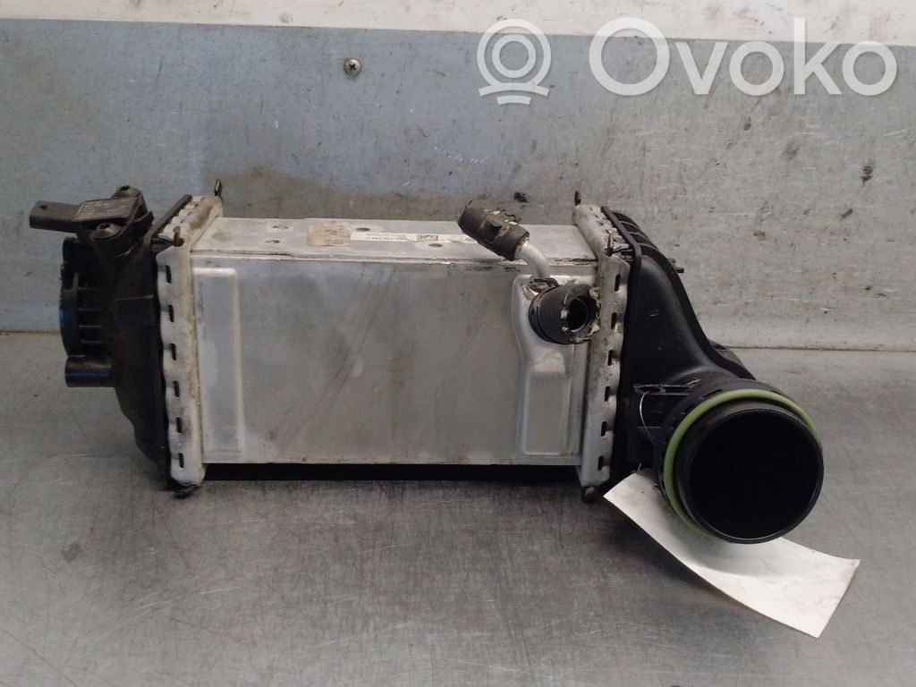Skoda Kamiq Radiatore intercooler