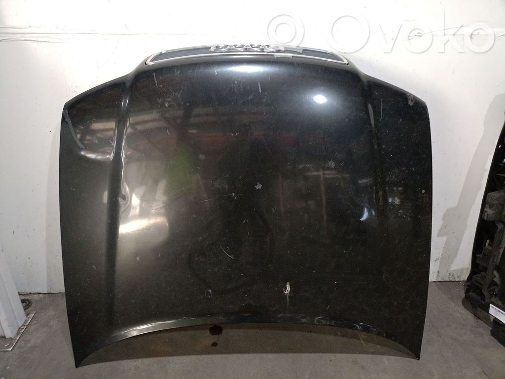 Motorhaube   8D0823029B,8D0823029B