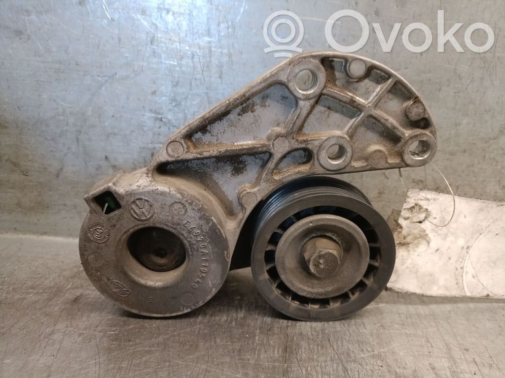 Porsche Cayenne (9PA) Întinzător curea generator/alternator 