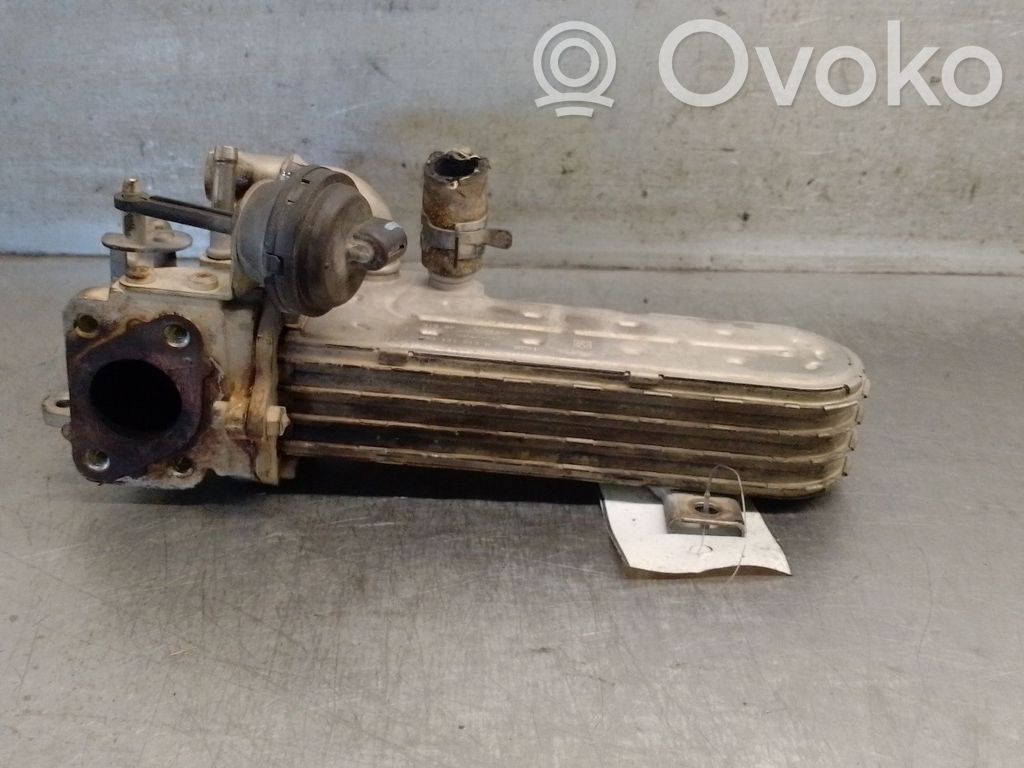 Jeep Compass Răcitor supapă EGR