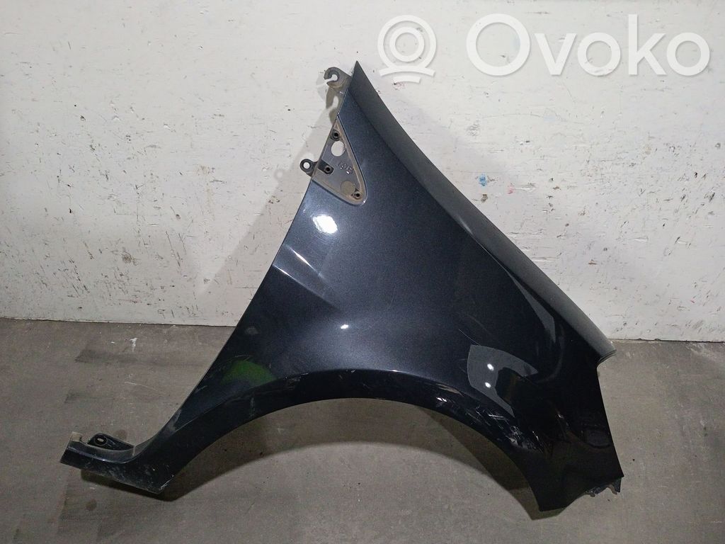 Renault Clio III Kotflügel 