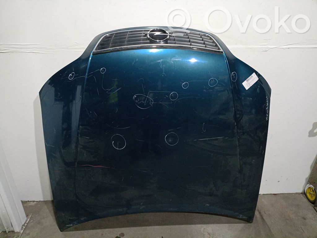 Motorhaube   1160244