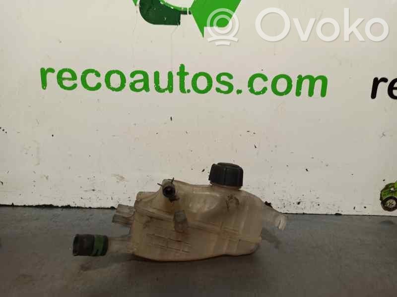 Renault Scenic RX Zbiornik wyrównawczy paliwa