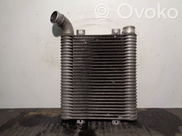 Hyundai Santa Fe Radiatore intercooler