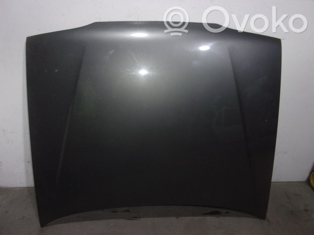 Renault 19 Motorhaube