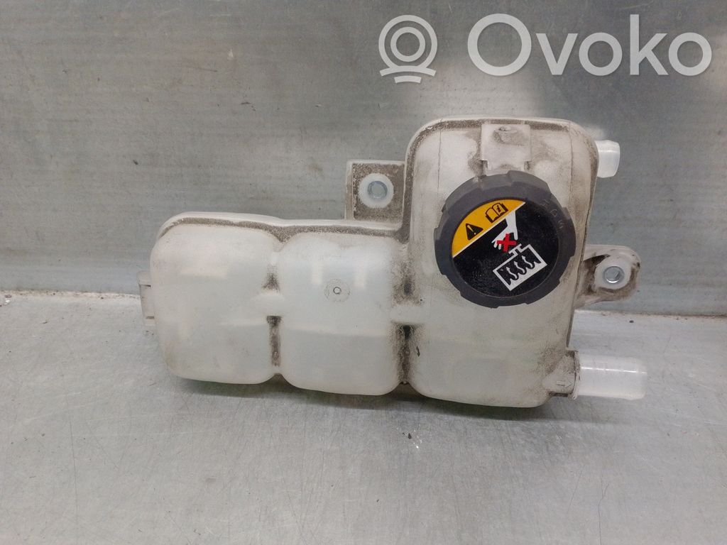Hyundai Ioniq Vaso di espansione carburante