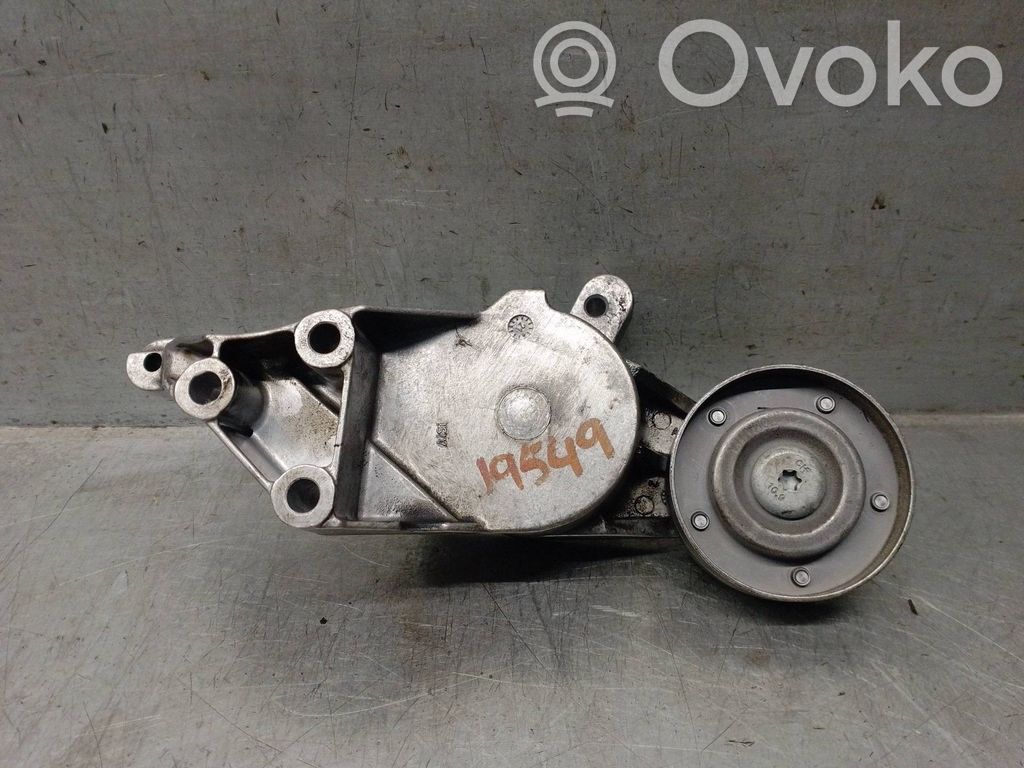 Volkswagen Golf SportWagen Napinacz paska alternatora 
