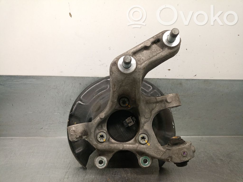 Hyundai Ioniq Achsschenkel hinten
