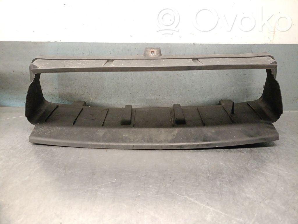 BMW 1 E81 E87 Griglia anteriore 