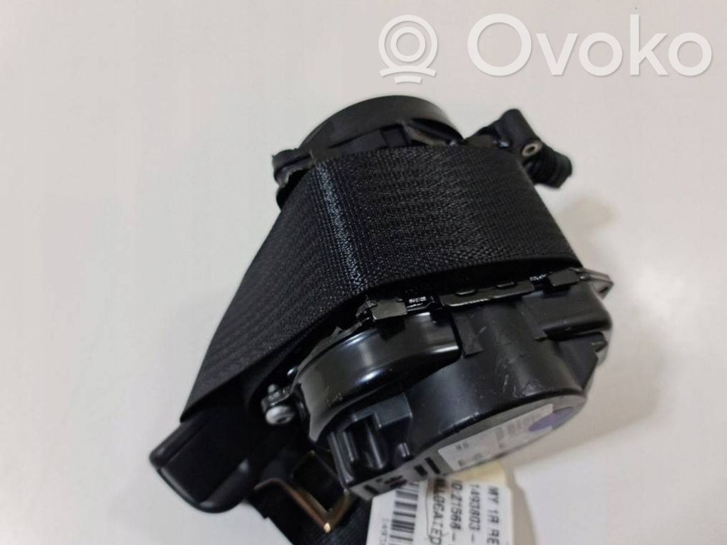 Cinturón delantero   1493803E1C,1493803E1C,1493803