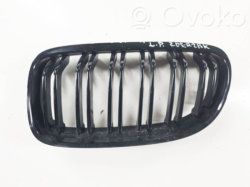 Front grill   BM07022