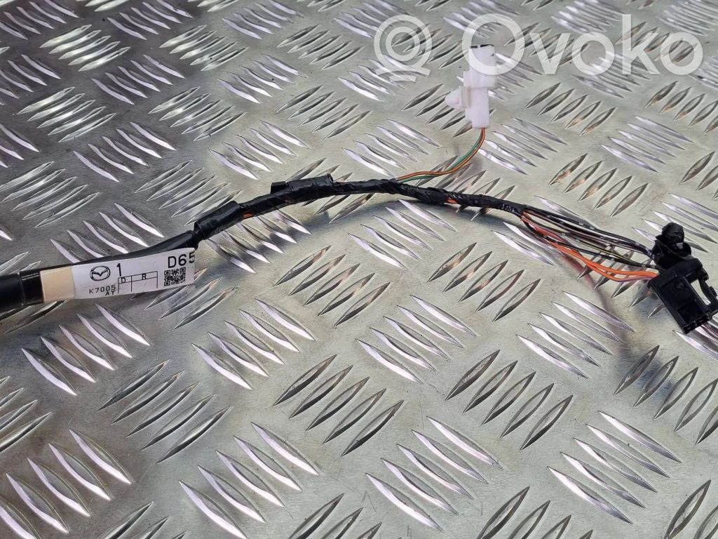 Arnés de cableado de la puerta trasera/maletero   D65167060,80619007611