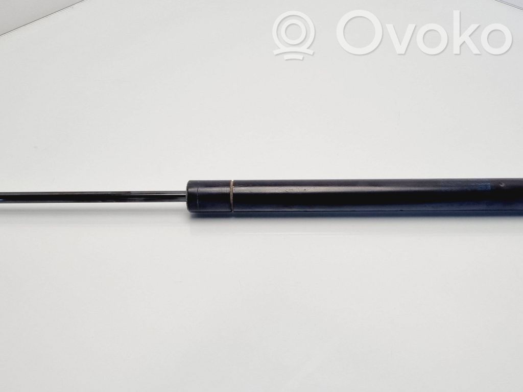 Tailgate/trunk strut/damper