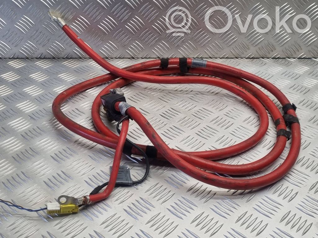Pluskaapeli (akku)   6907440,E587N