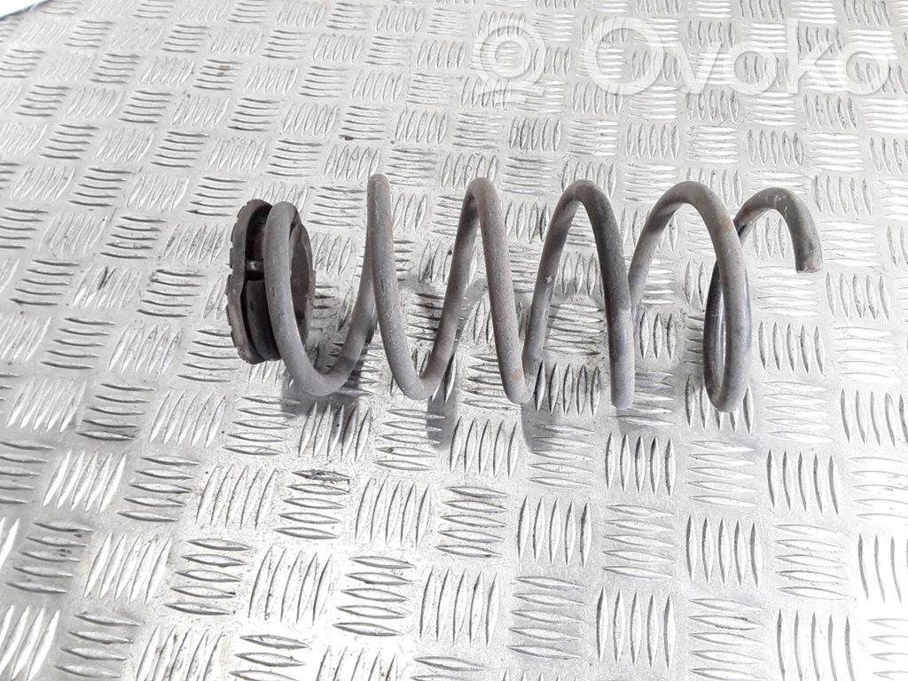 Rear coil spring