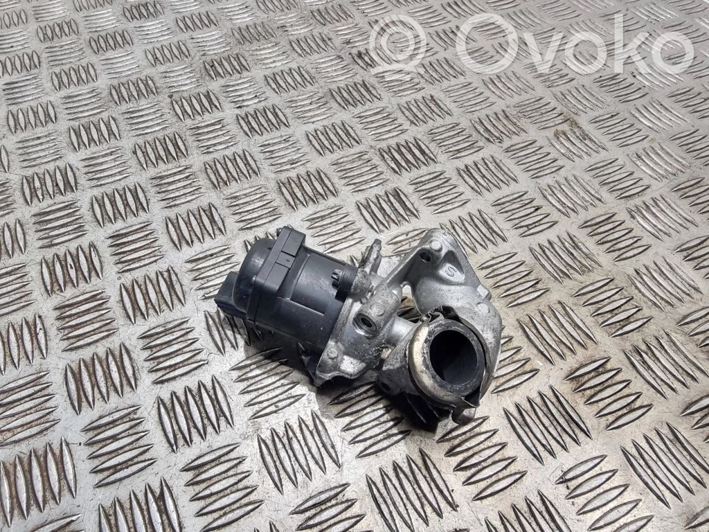 Válvula EGR   V29010703