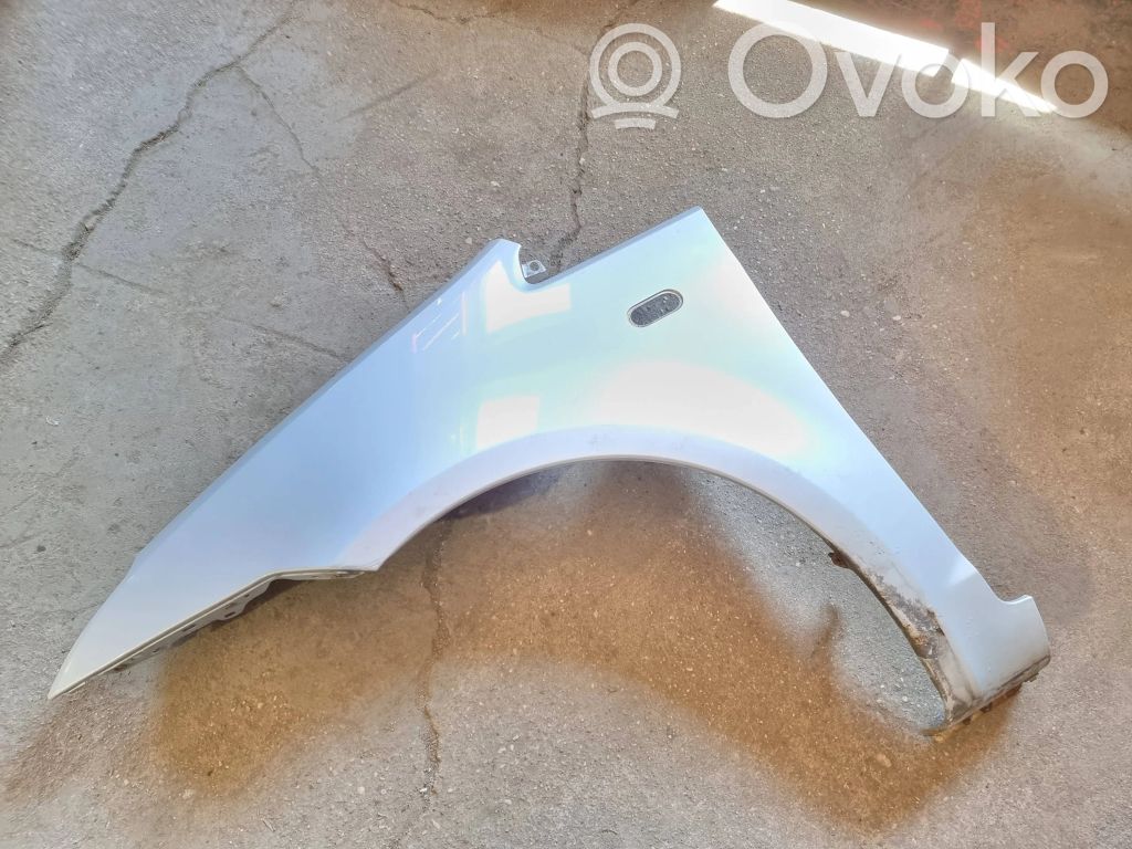 Spārns   3M51R16571AB
