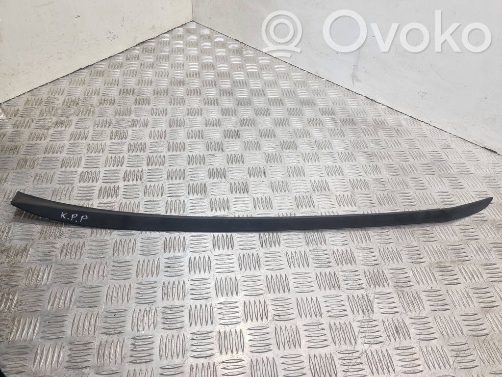 Ford Focus Windshield trim 