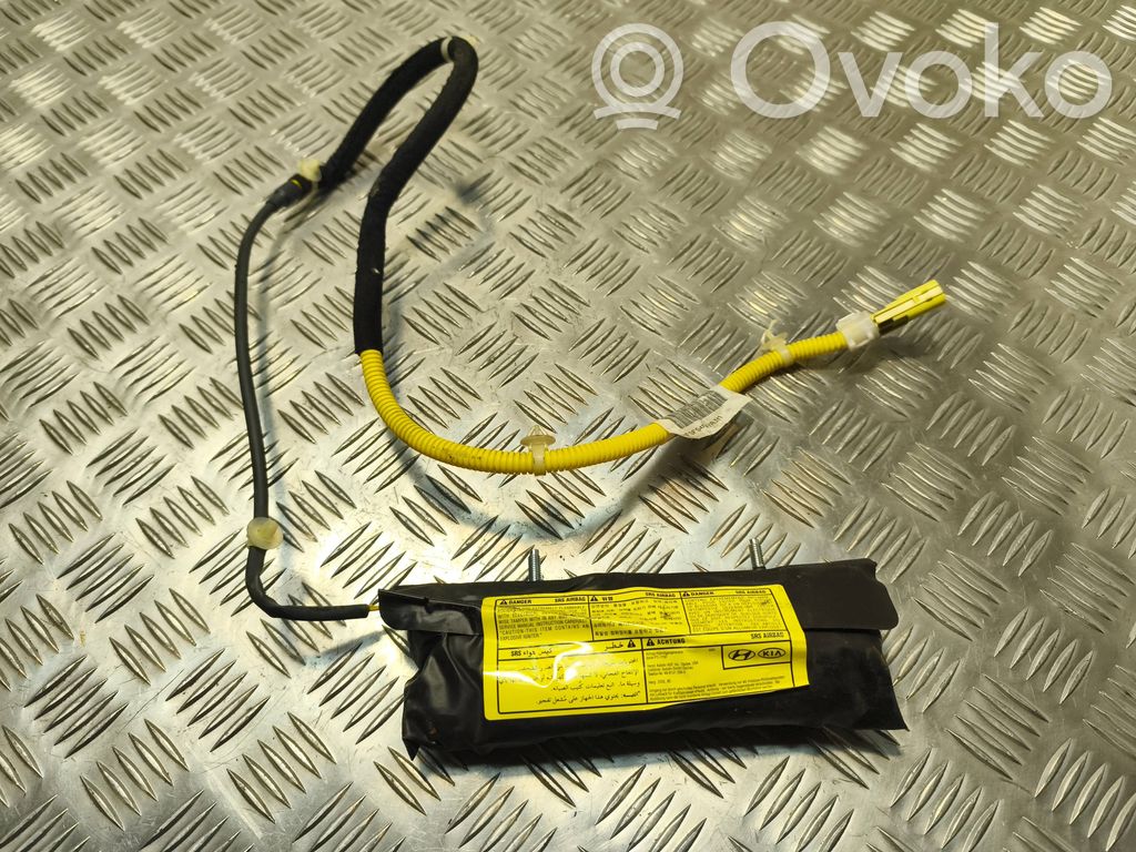 Hyundai Sonata Airbag del asiento 