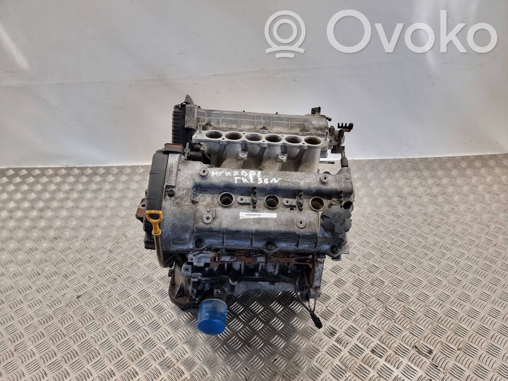 Hyundai Tucson JM Engine 