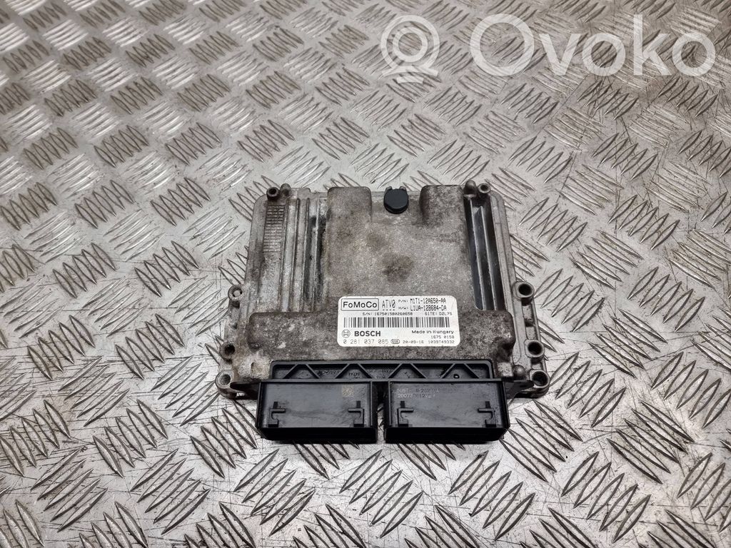 Ford Focus Engine control unit/module 