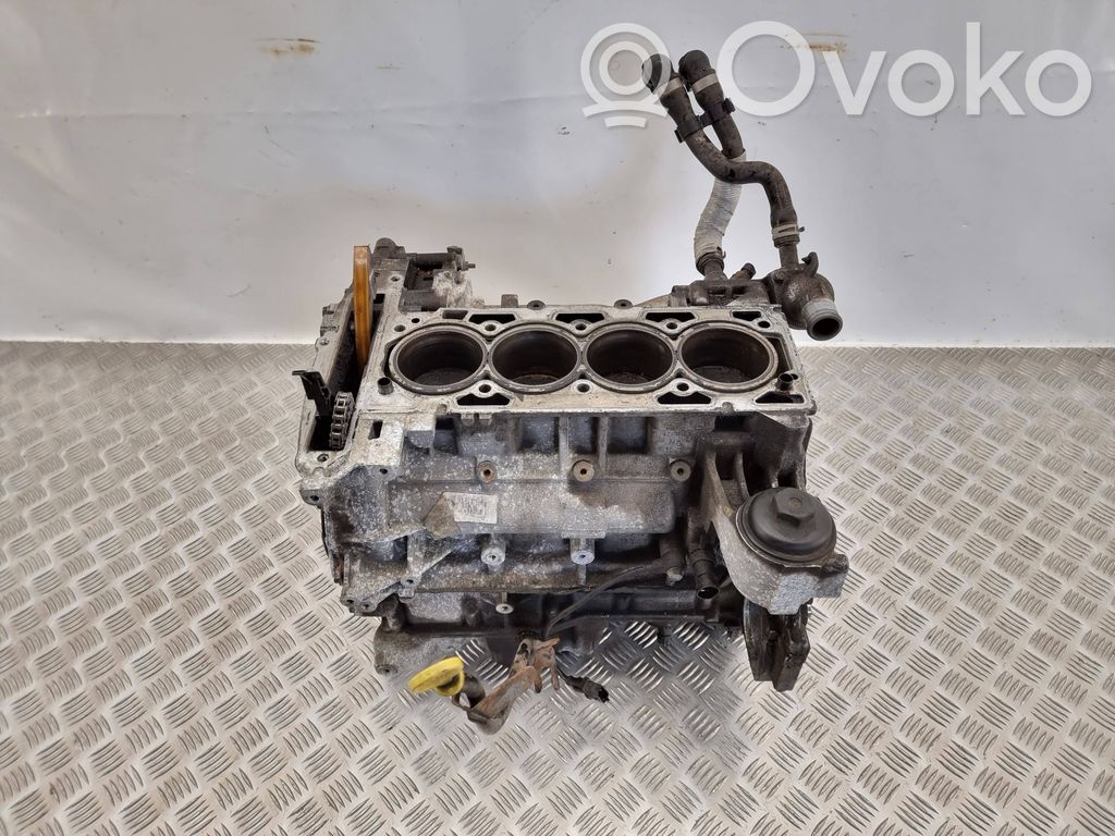 Opel Signum Blokas 