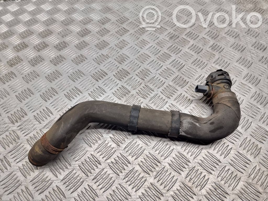 Volkswagen Phaeton Engine coolant pipe/hose 