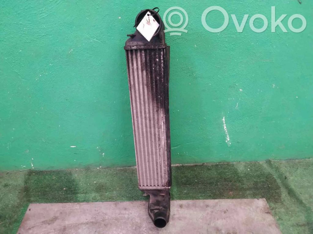 Starpdzesētāja radiators