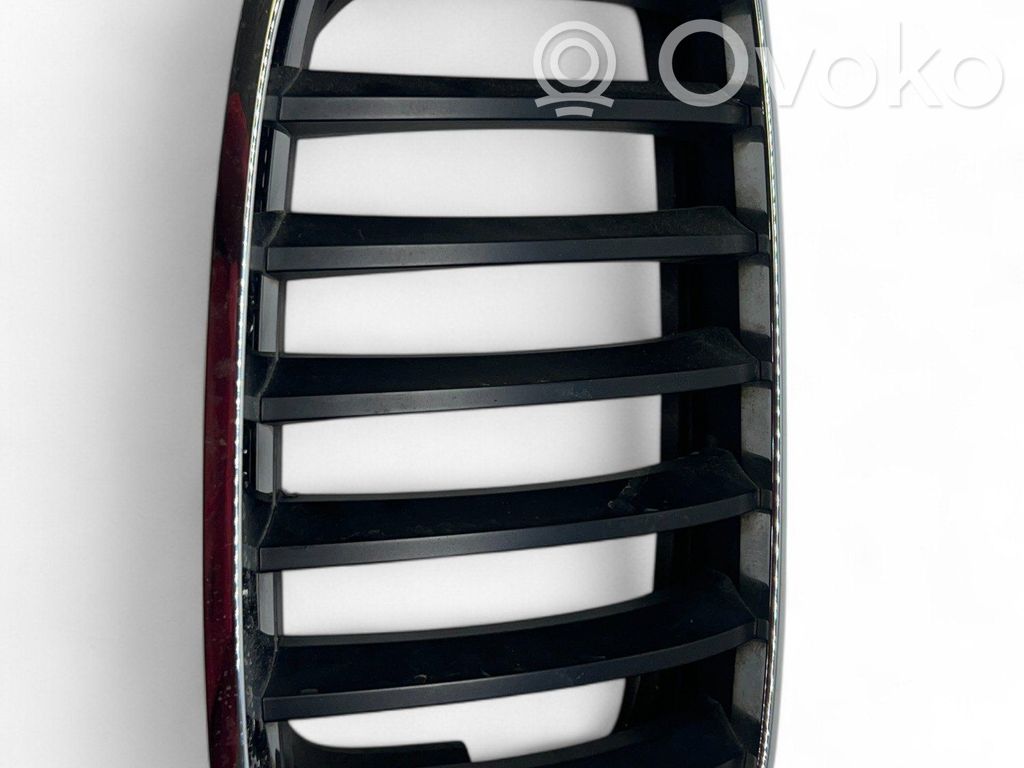 BMW X5 E70 Front grill 