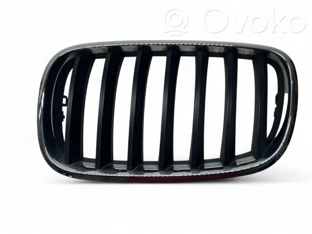 Front grill   7157687