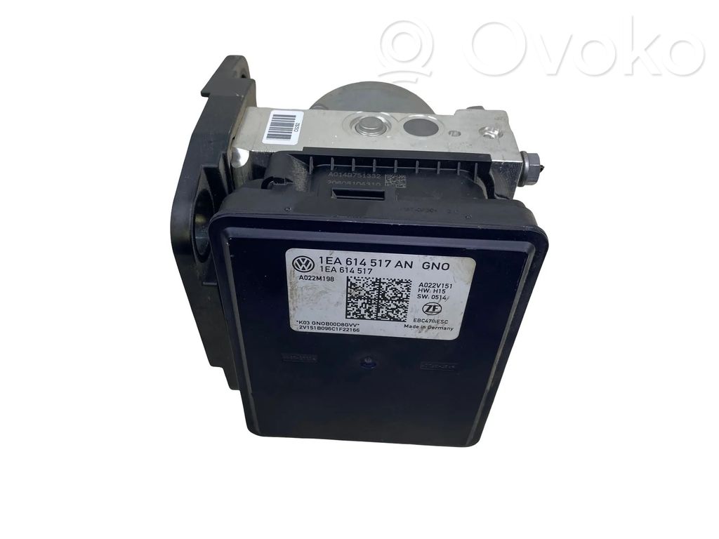 Cupra Born ABS Pump 