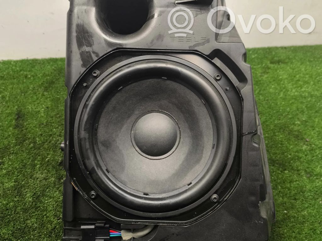 Tesla Model 3 Subwoofer 
