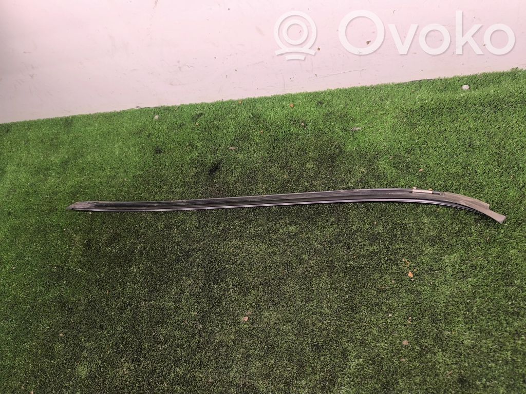 BMW 3 E90 E91 Front door glass trim molding 