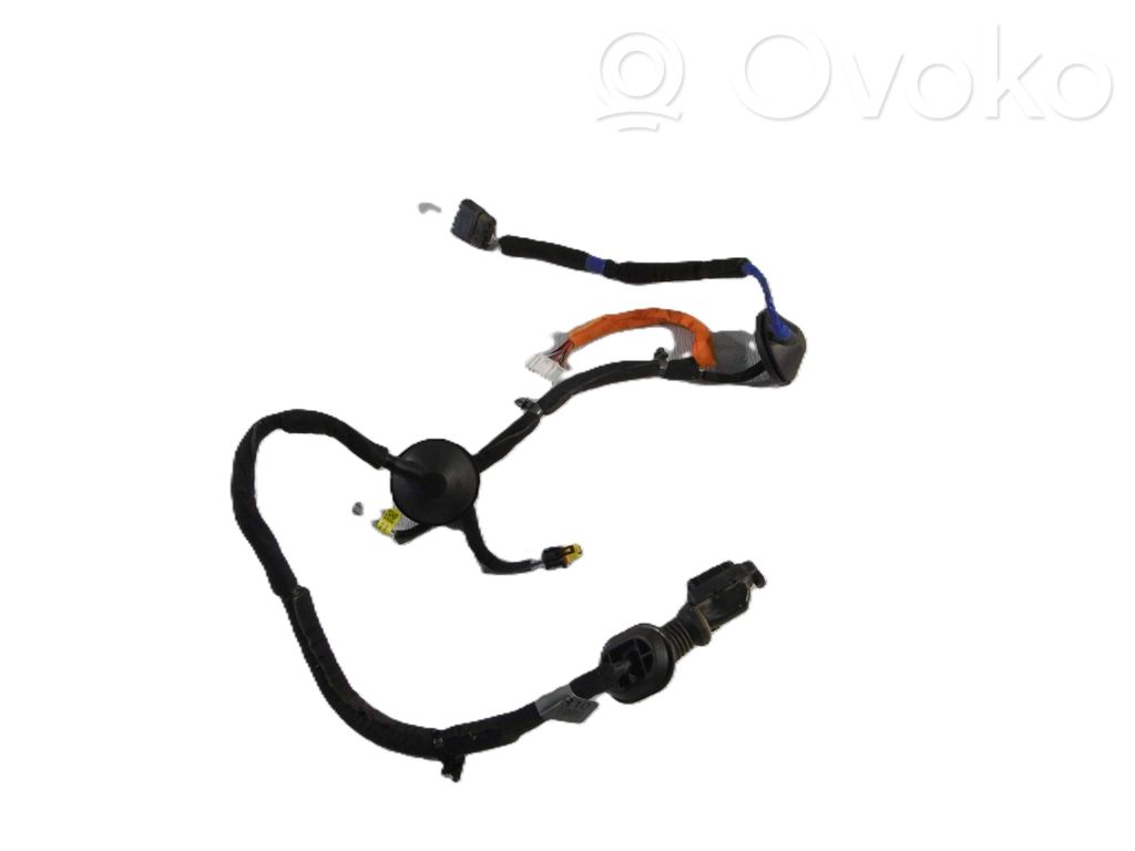 Cableado de puerta trasera   91660J5100
