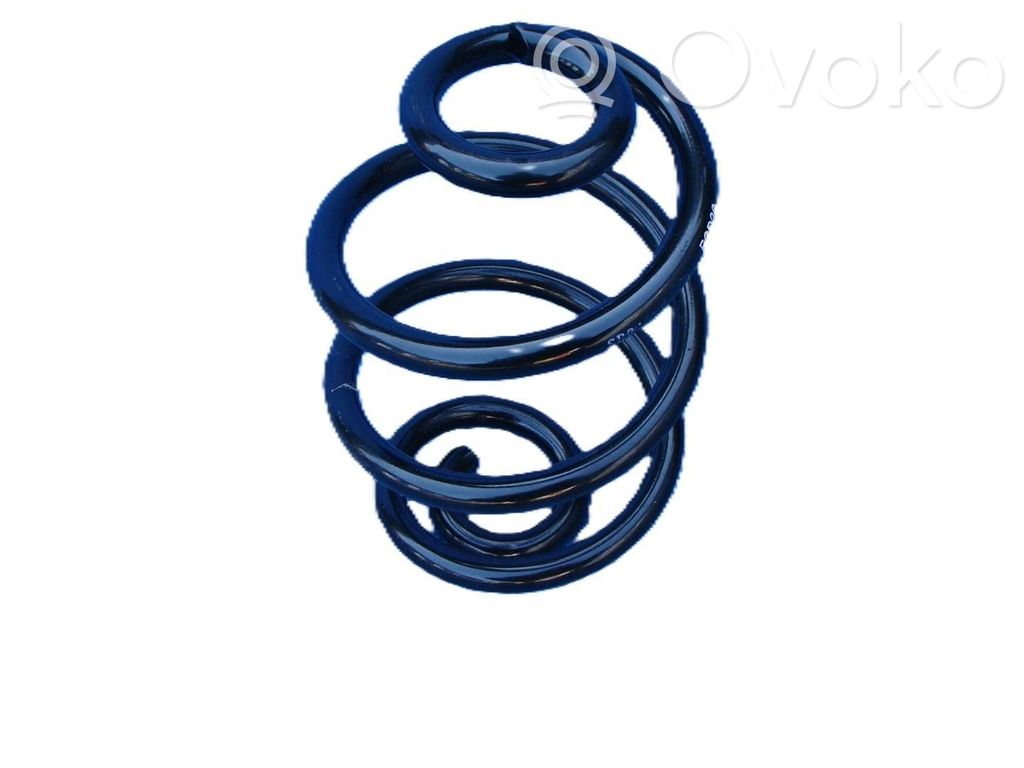 Rear coil spring