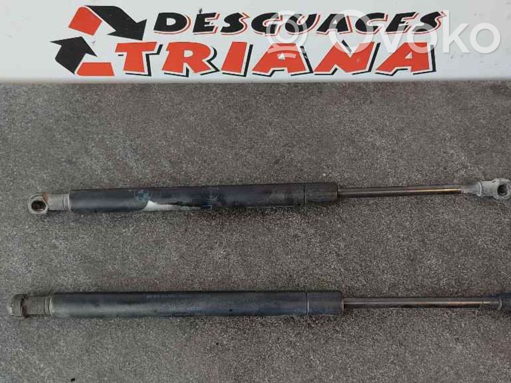 Tailgate/trunk strut/damper