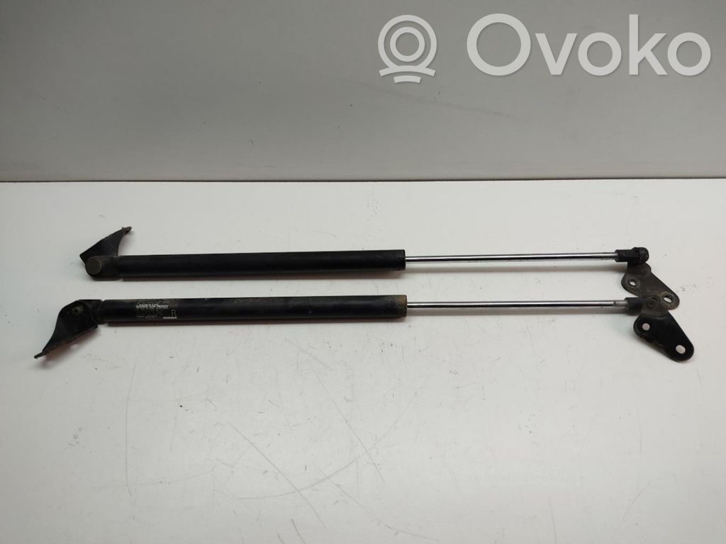 Tailgate/trunk strut/damper   C23562620E