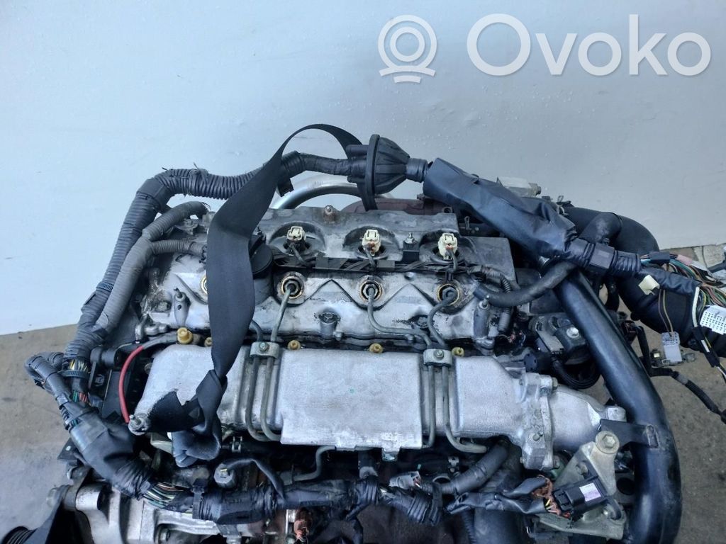Motor   1CDFTV