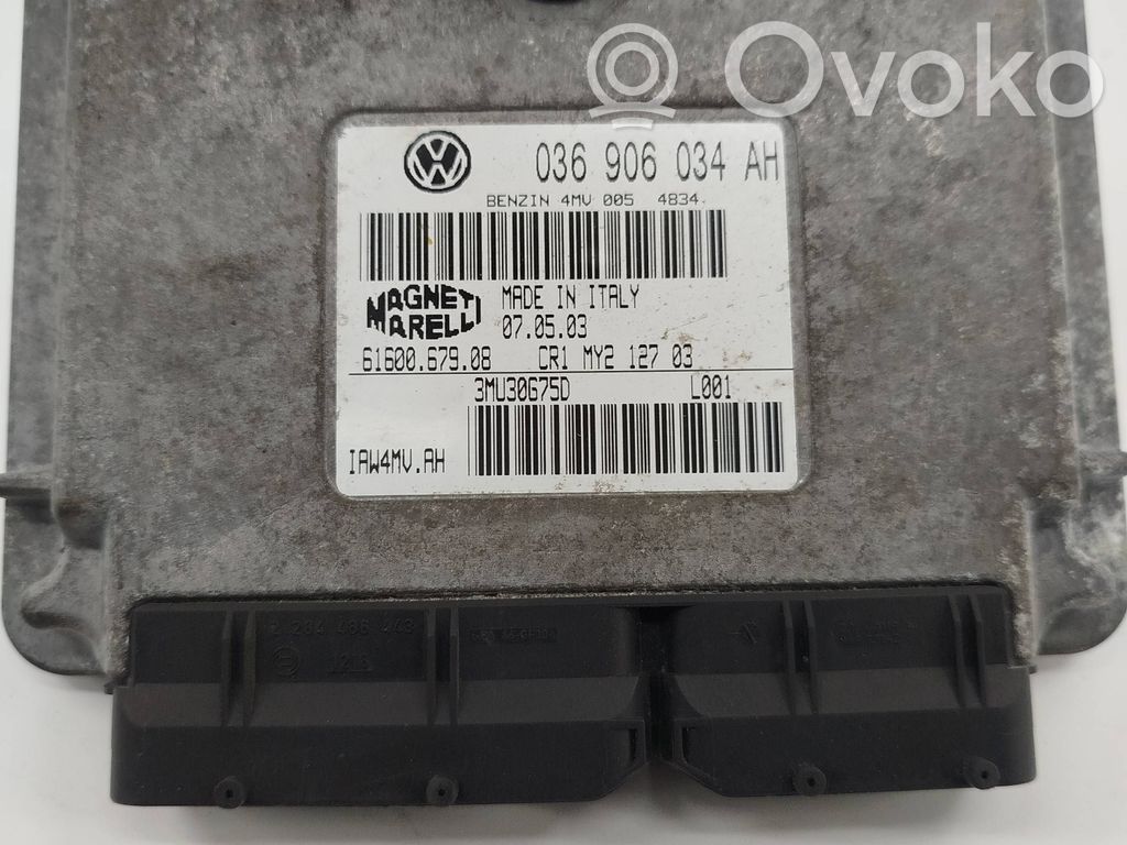 Seat Ibiza III (6L) Engine control unit/module 