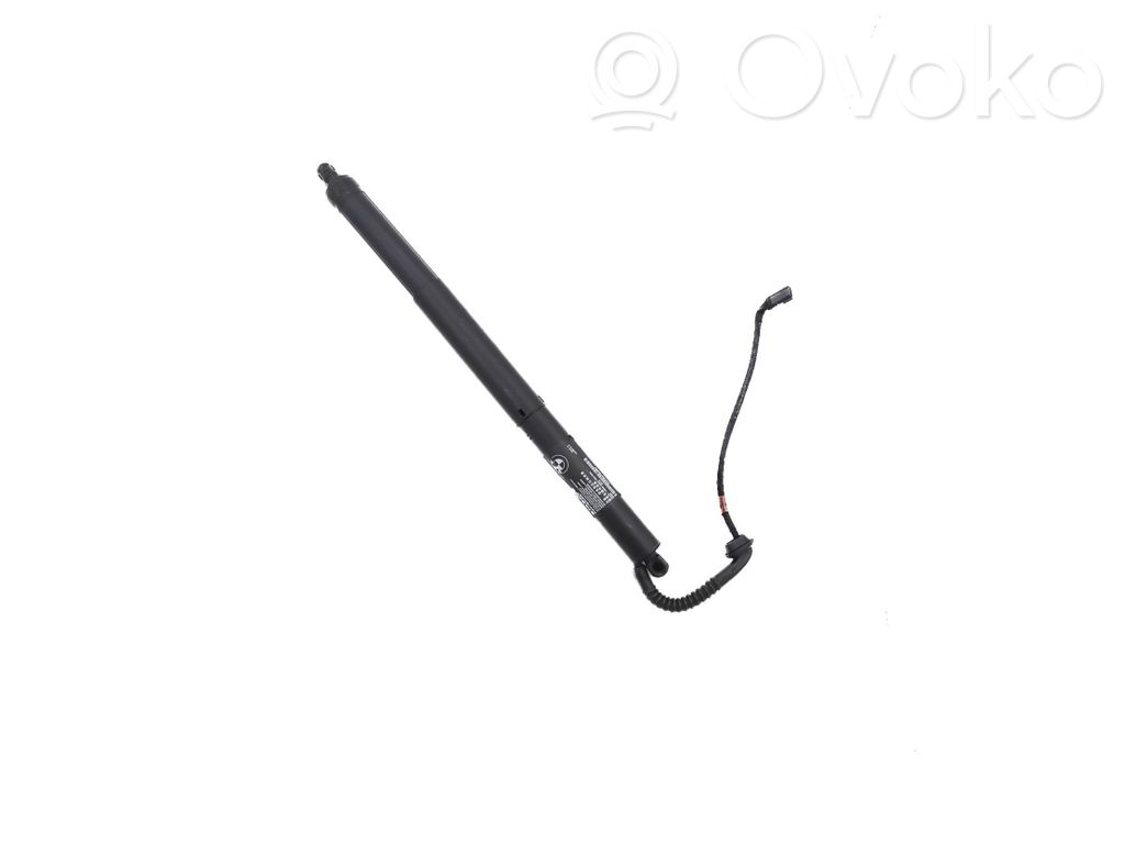 BMW X5 F15 Tailgate/trunk strut/damper 